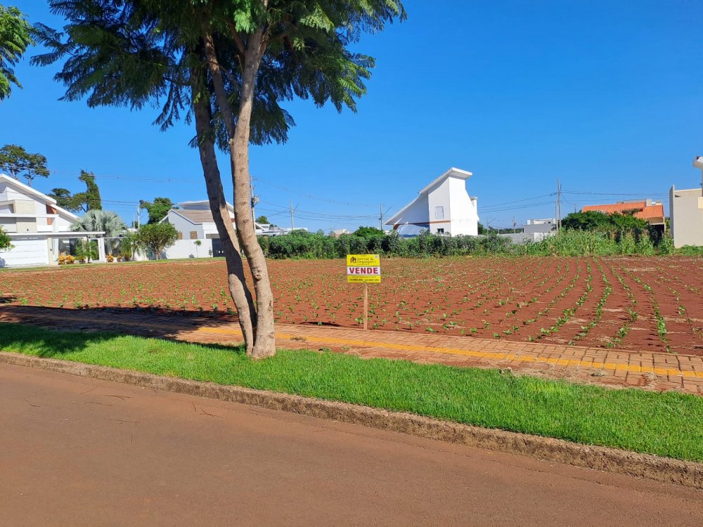 Terreno - Venda - Jardim Universitrio - Santa Helena - PR