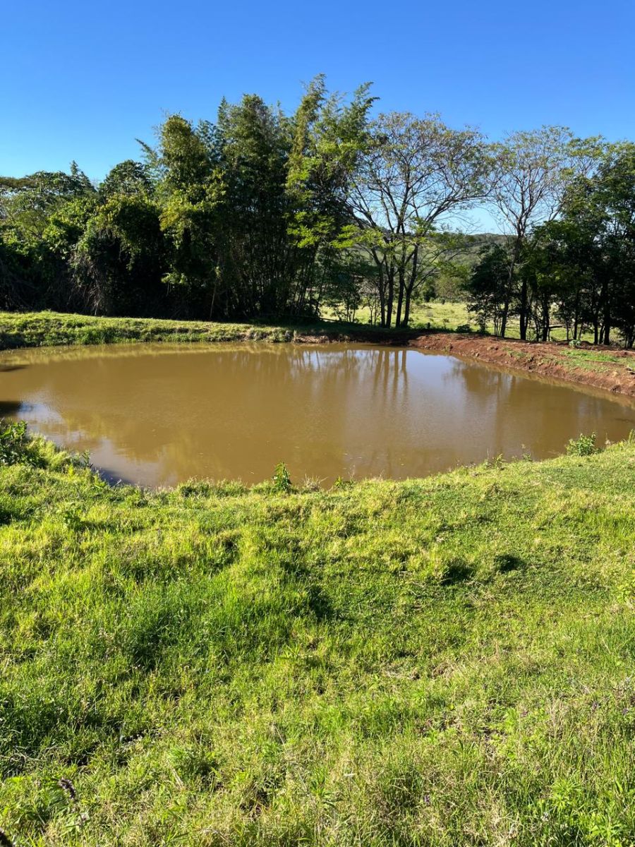 Sítio - Venda - São Roque - Santa Helena - PR