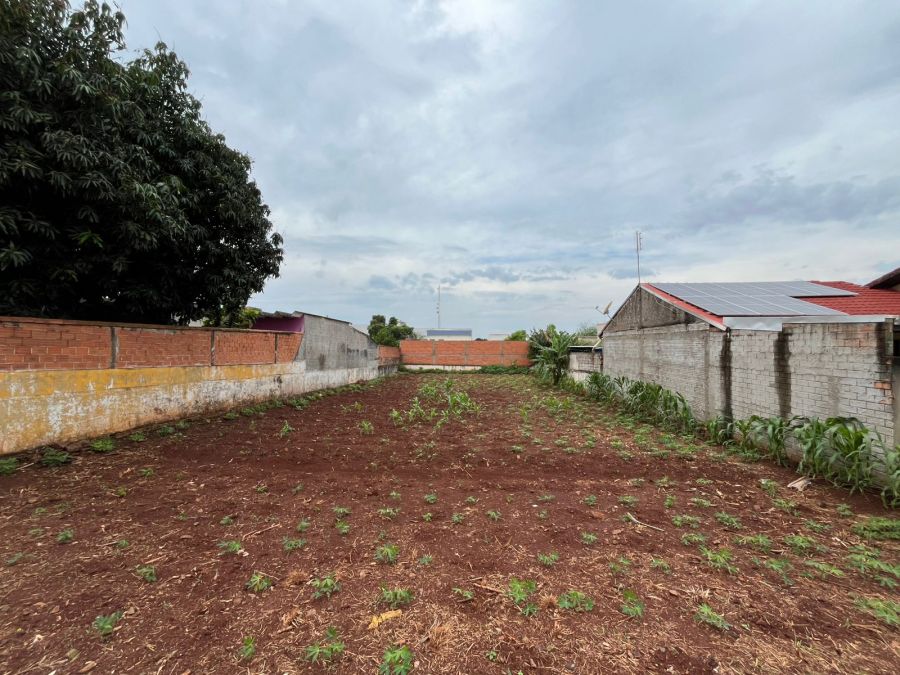 Terreno - Venda - Centro - Santa Helena - PR
