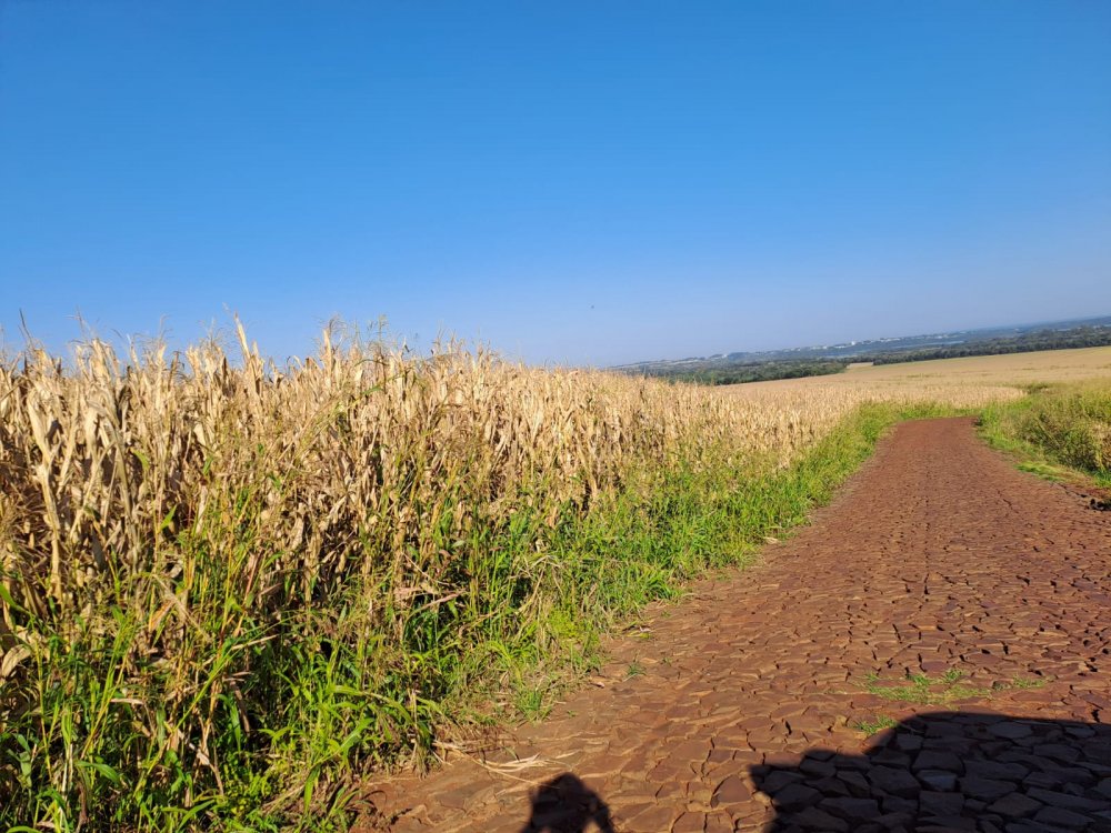 Stio - Venda - Aparicidinha - Santa Helena - PR