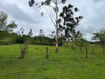 Chcara por R$150.000 na Nova Esperana em SH