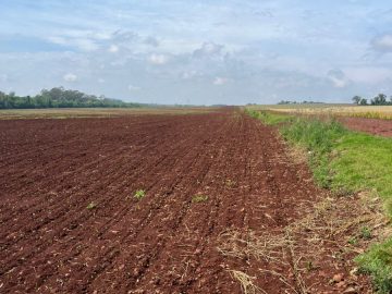 3 Alqueires a Venda na Buricá em Santa Helena-PR